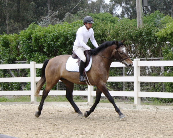 chupito 4 142